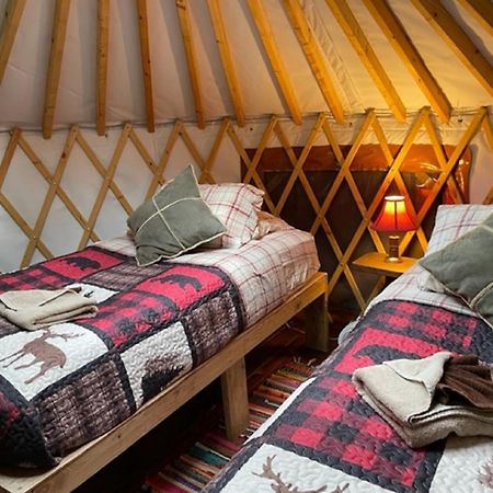 Nauti Otter Inn And Yurt Village Seward Chambre photo