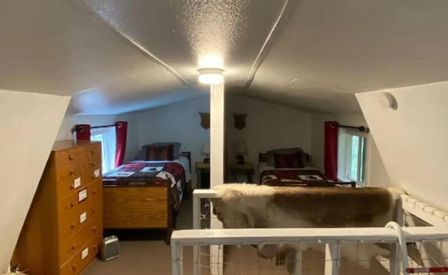Nauti Otter Inn And Yurt Village Seward Chambre photo